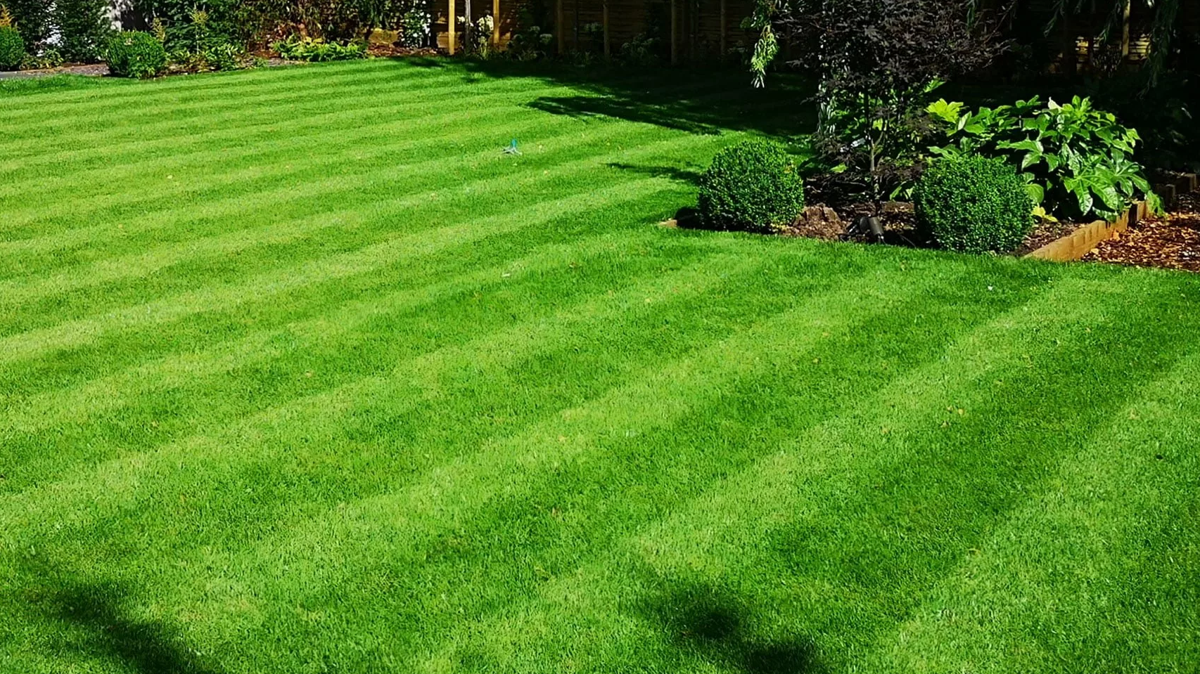 Garden Maintenance